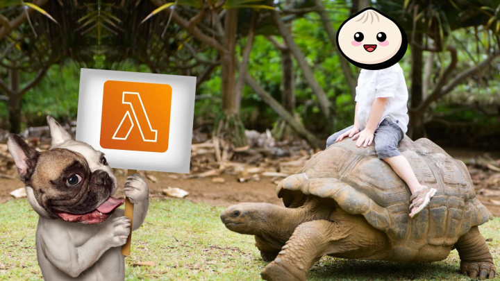 Bun sitting on a tortoise while a dog is holding an AWS Lambda placard