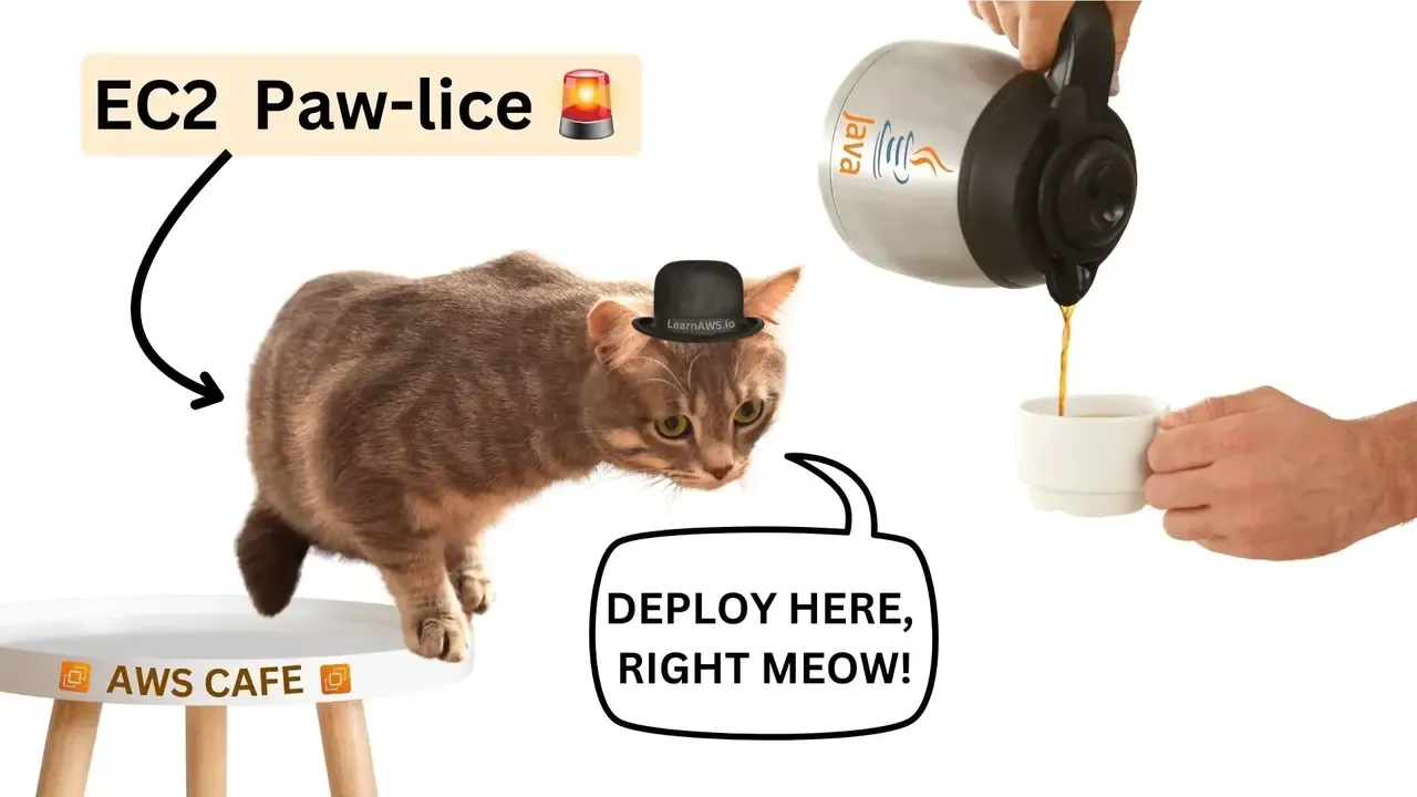 EC2 cat asking to deploy Java on EC2 server