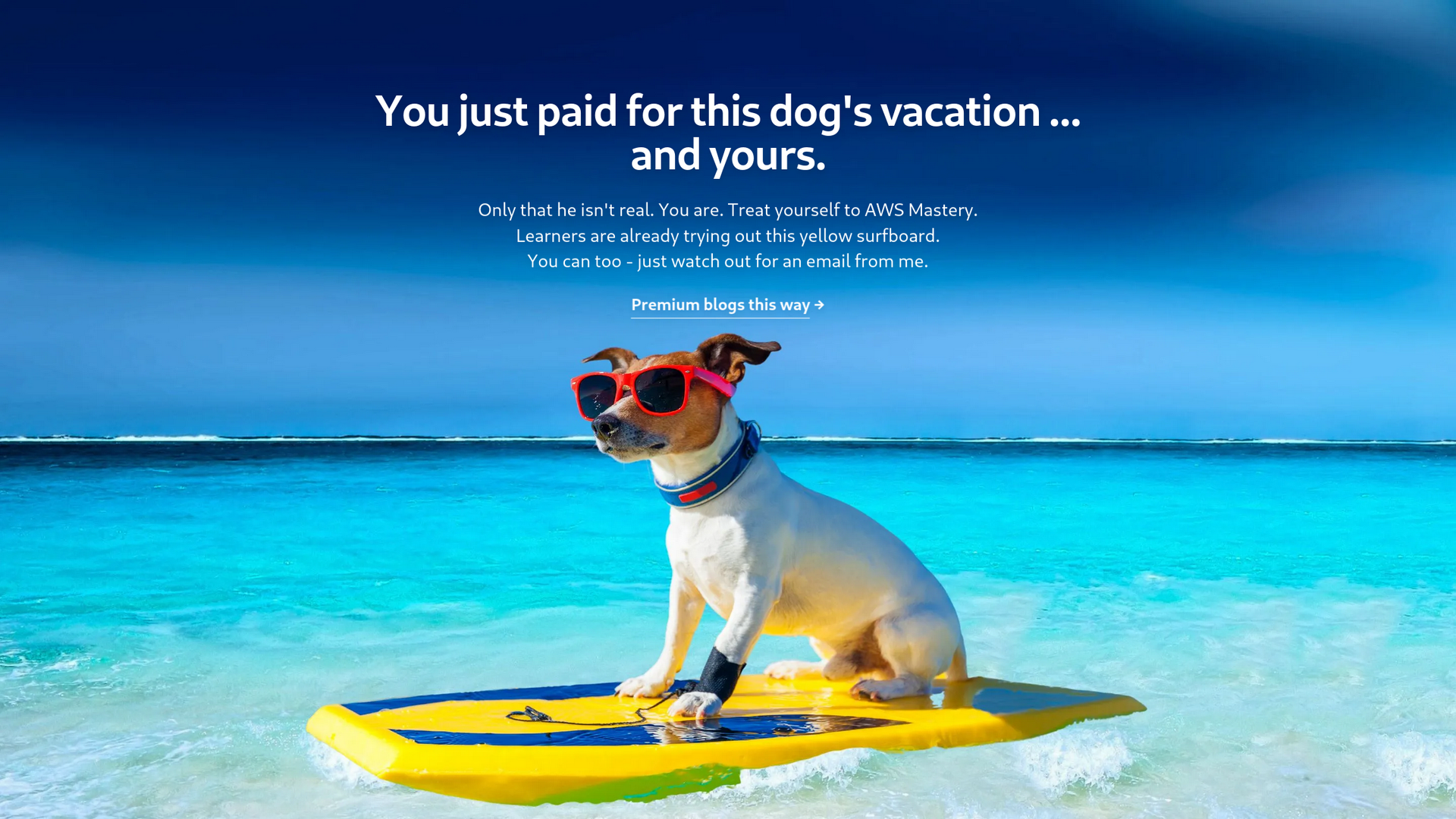 success-page-with-dog-on-surfboard