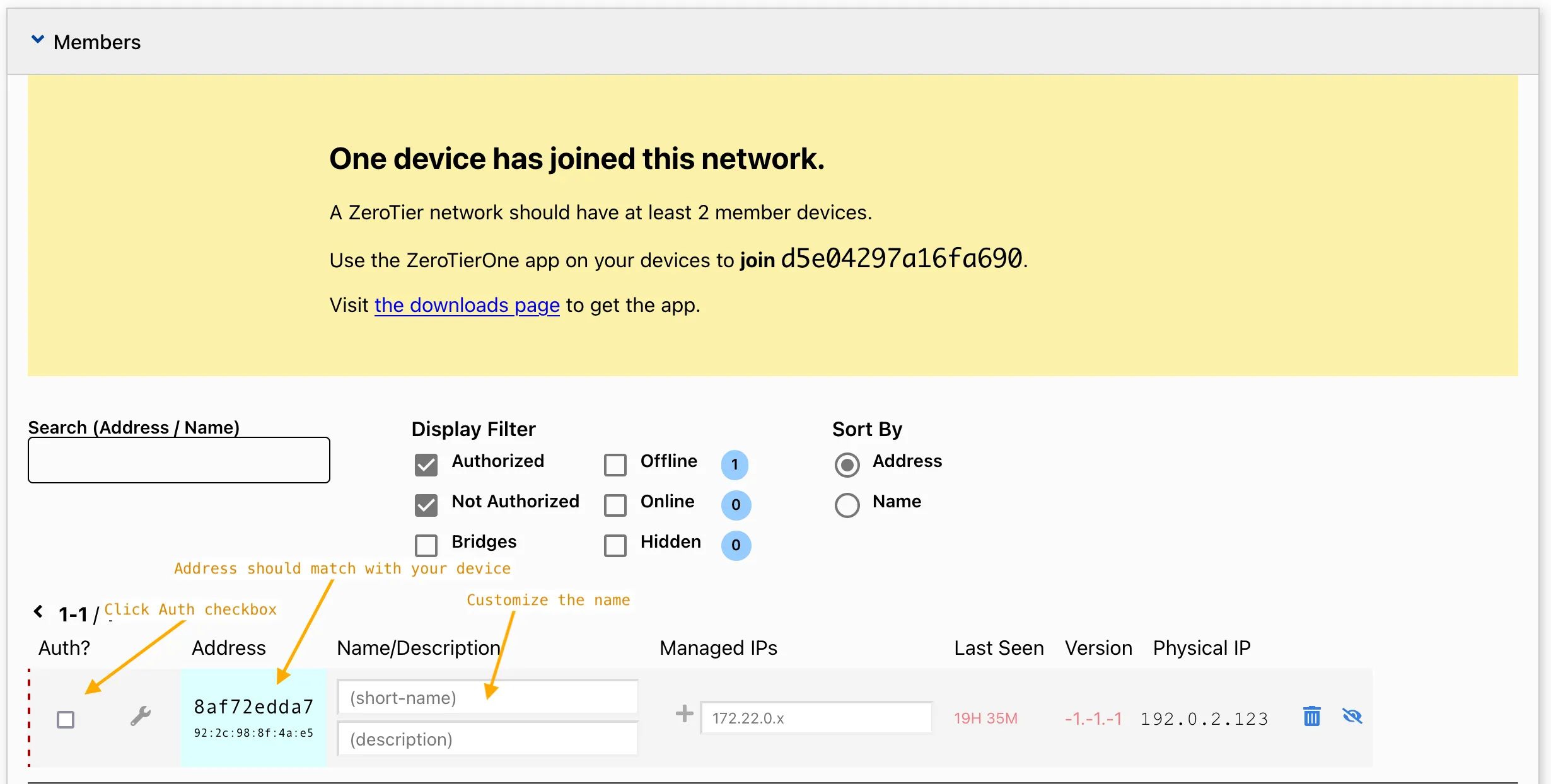 ZeroTier dashboard screenshot